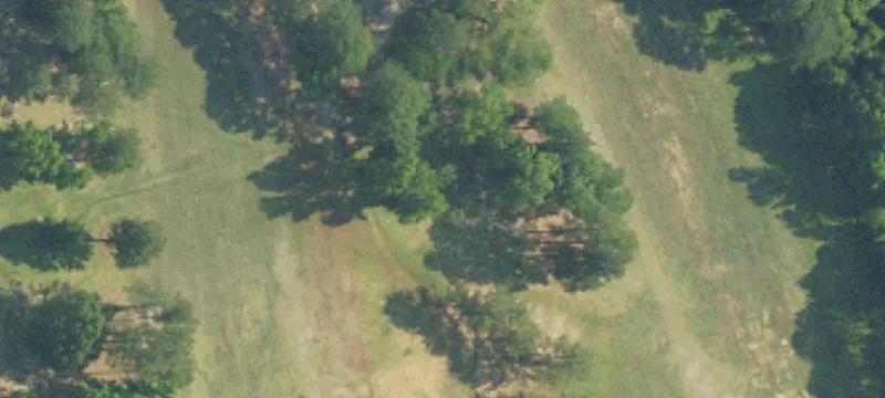 Ocmulgee Dr
