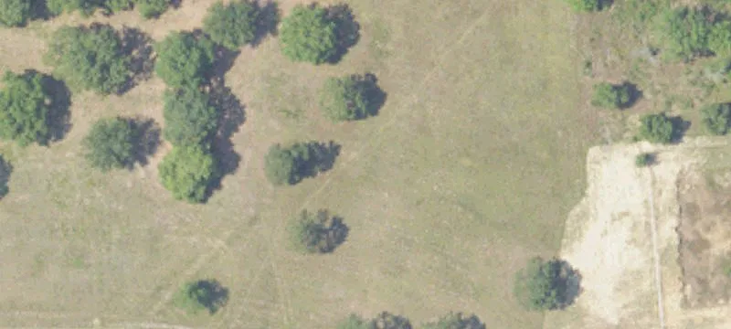 Grand Bay, AL 36541