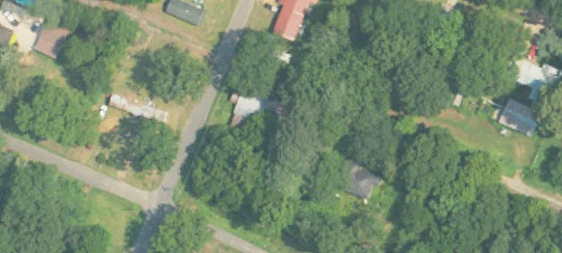 Carbon Hill, AL 35549