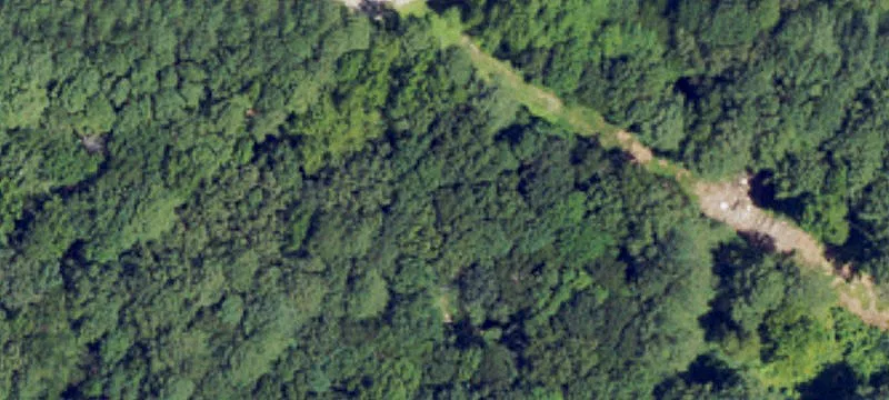 Cut Off Rd