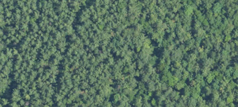 236 Acres On Both Sides Of Jackson Sq