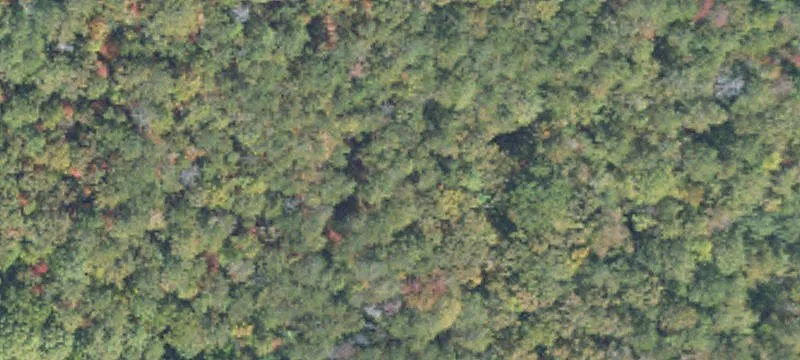Delta, AL 36258