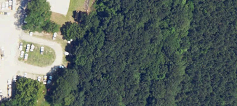 Roy Parker Rd