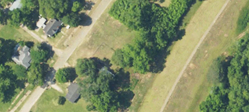 419 Plant Ave
