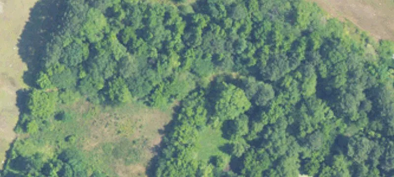 Cordova, AL 35550