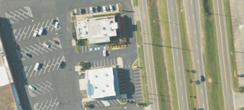 Boll Weevil Cir