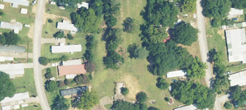 Hibiscus Cir