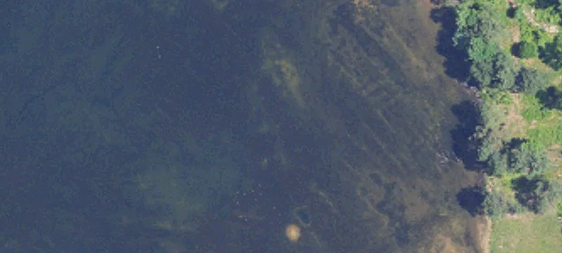 Woodstock, AL 35188