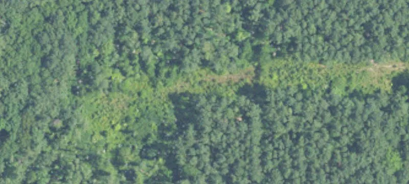 40 Acres Ofc Ofc