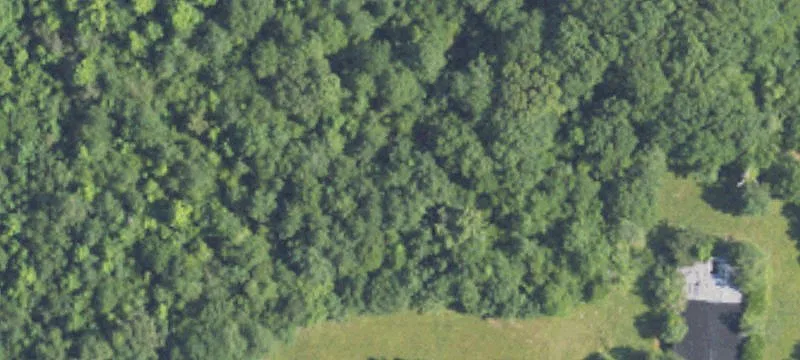 Alpine, AL 35014
