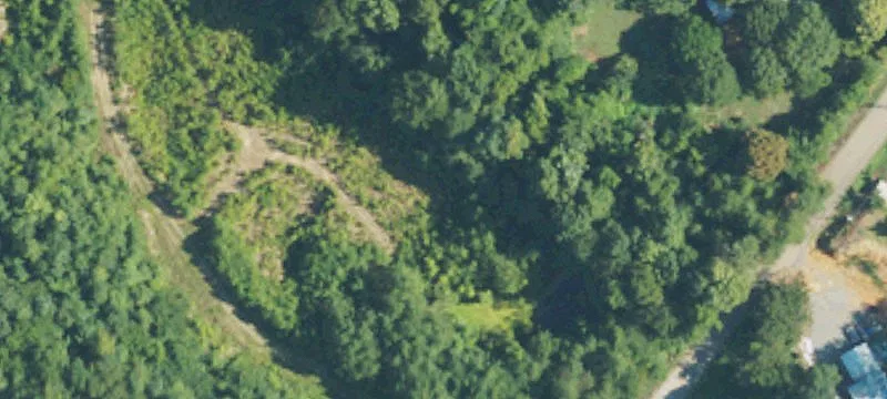 Lara Ln