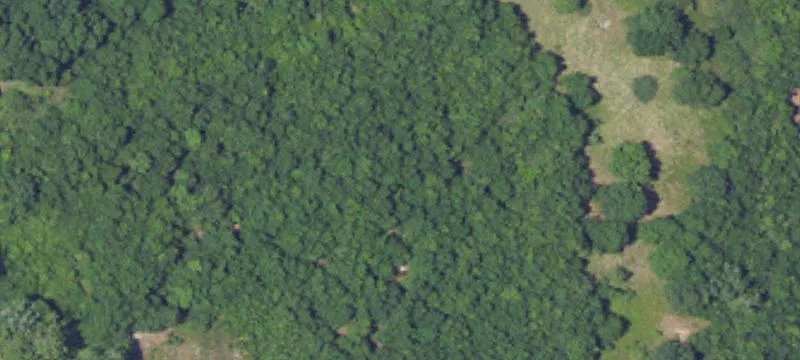 Eight Mile, AL 36613