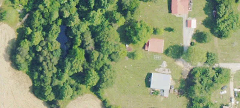 150 Guinea Ln