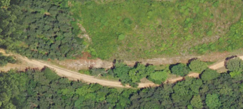 Rotch Rd