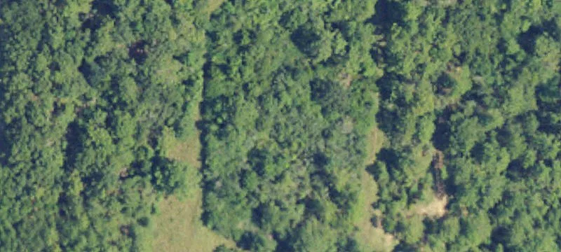Robertsdale, AL 36567