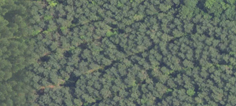 Lineville, AL 36266