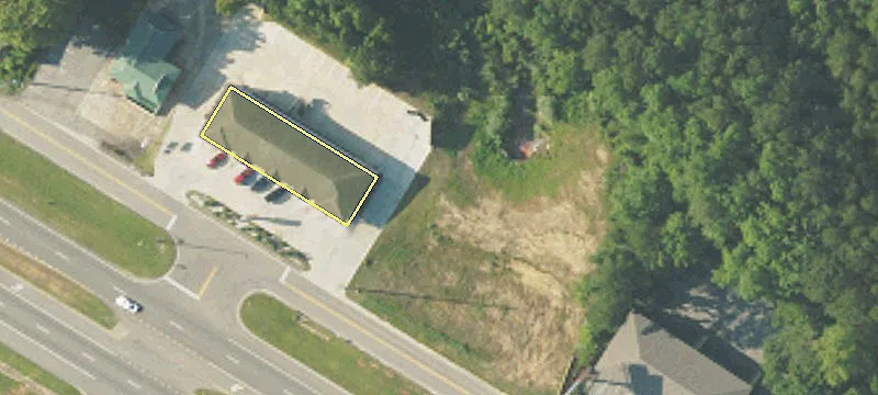 Boll Weevil Cir