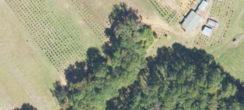 5675 Bull Gap Rd