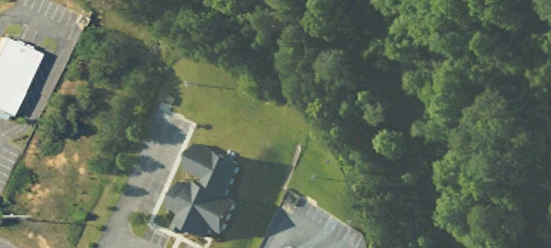 Boll Weevil Cir