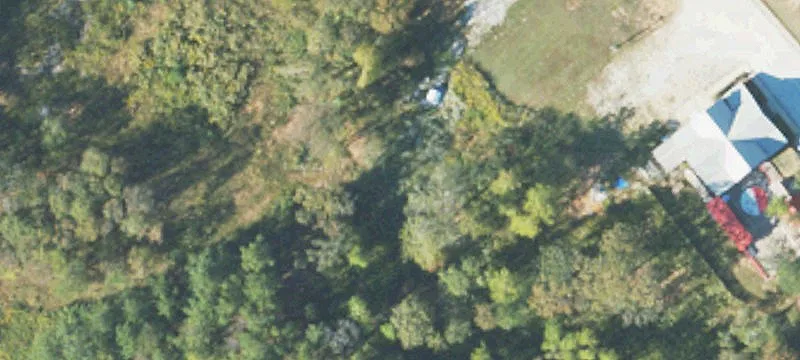 Wedowee, AL 36278