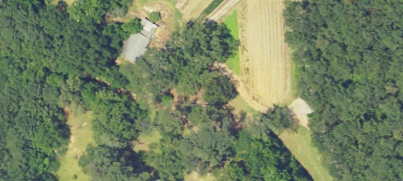 Georgiana, AL 36033