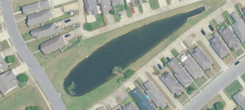 Will Newton Dr