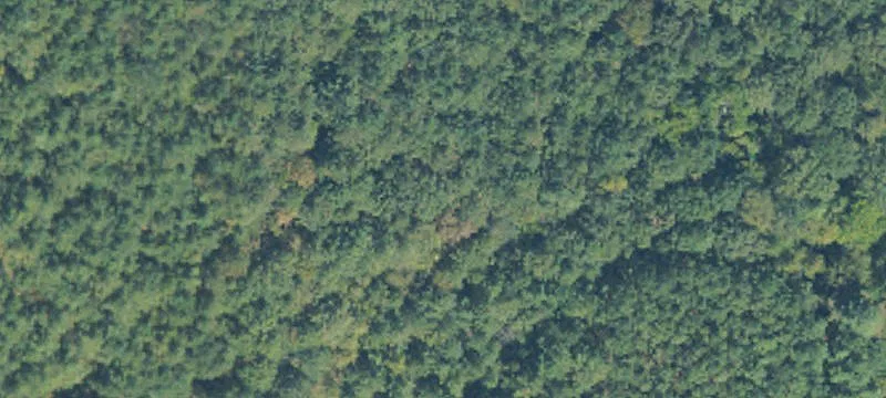 Porter Rd, AL 