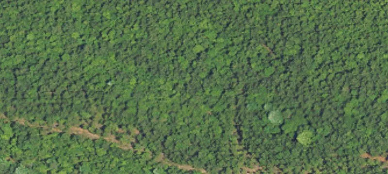 Georgiana, AL 36033