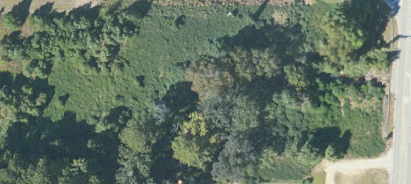Shug Jordan Pkwy