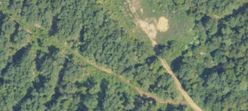 Sauty Rd