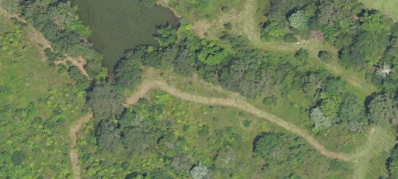 Greenville, AL 36037