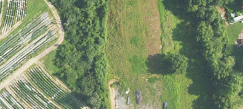 Us Hwy 231