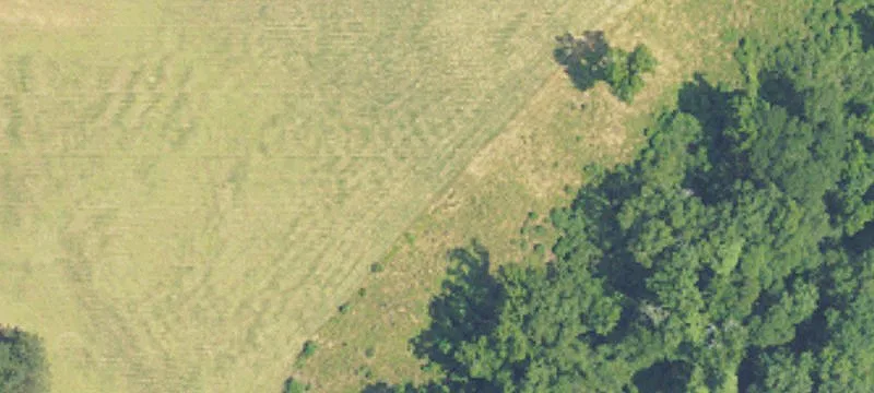 Greenville, AL 36037