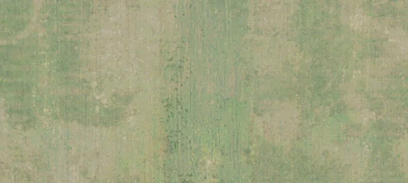 Elmore, AL 36025