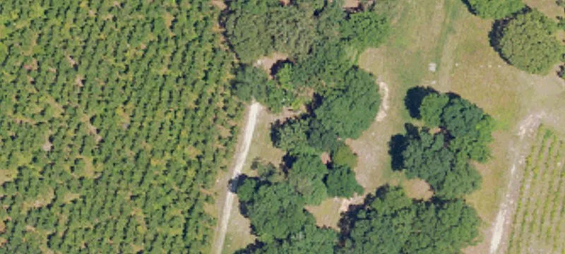 624 County Rd 238