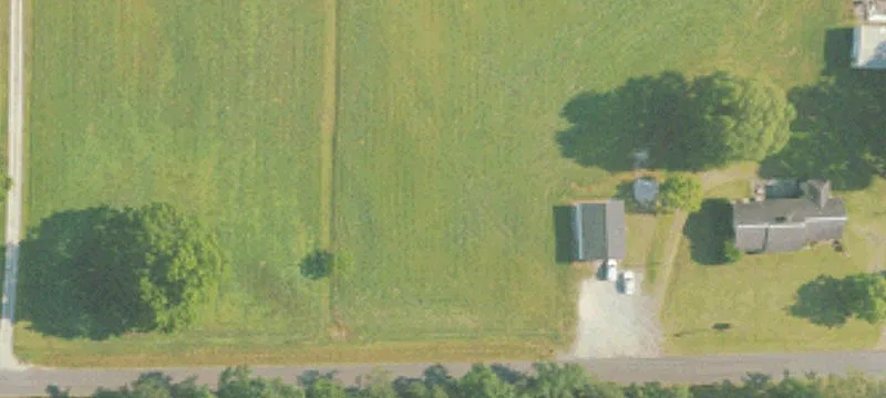 County Rd 231