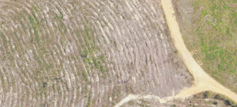 County Rd 73