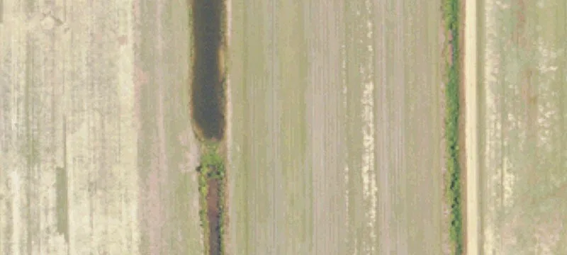 County Rd 15
