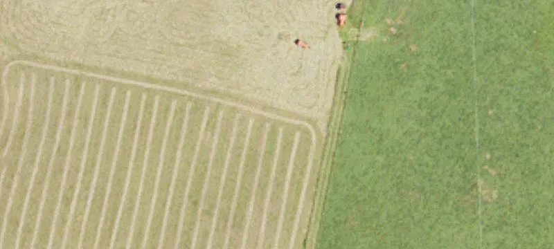 486 County Rd 194