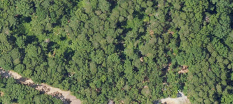 12800 County Rd 51