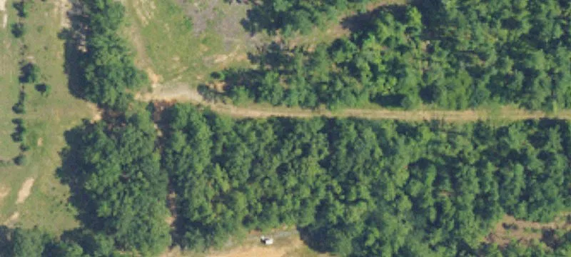 Flomaton, AL 36441