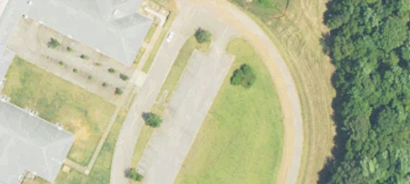 Tiger Dr