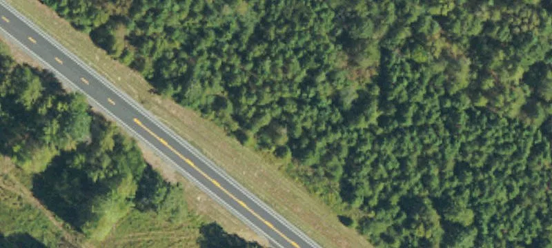 Henagar, AL 35978
