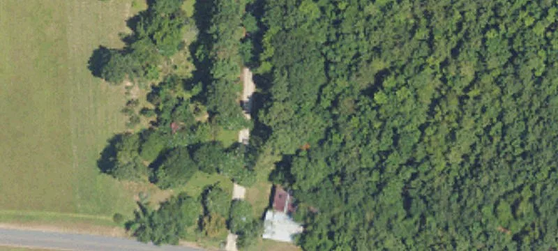 81 Persimmon Rd