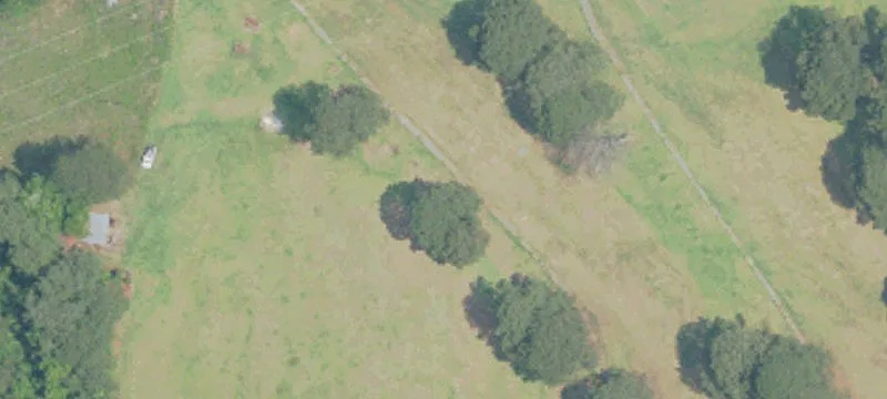York, AL 36925