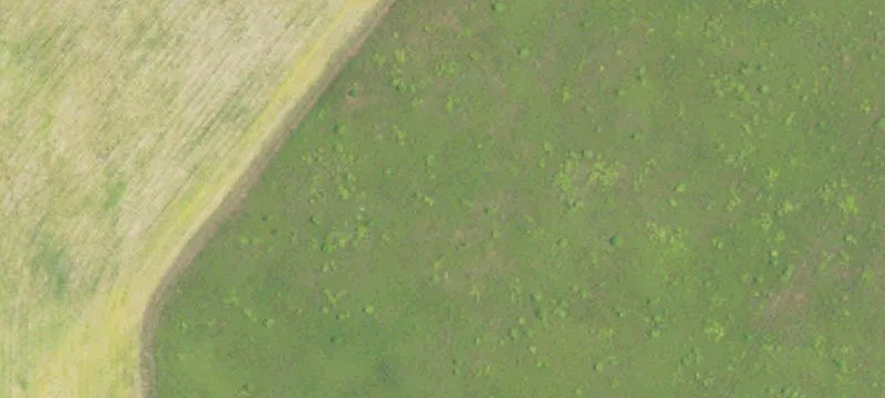 Luverne, AL 36049