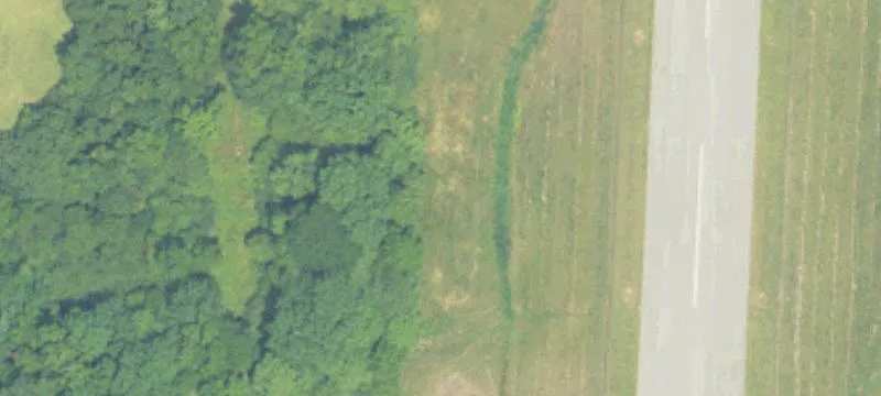 Fayette, AL 35555