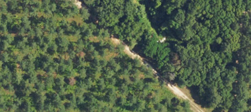 Hwy 29
