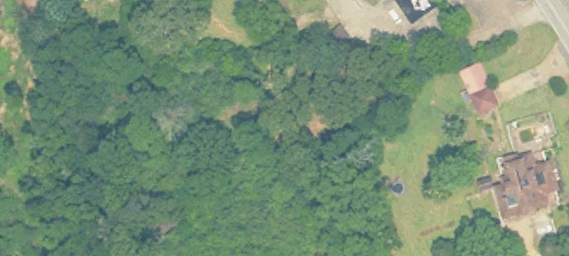 851 State Hwy 253