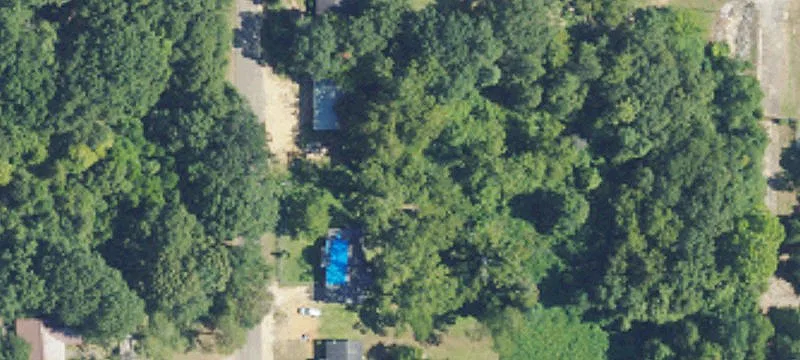 441 Wilcox St